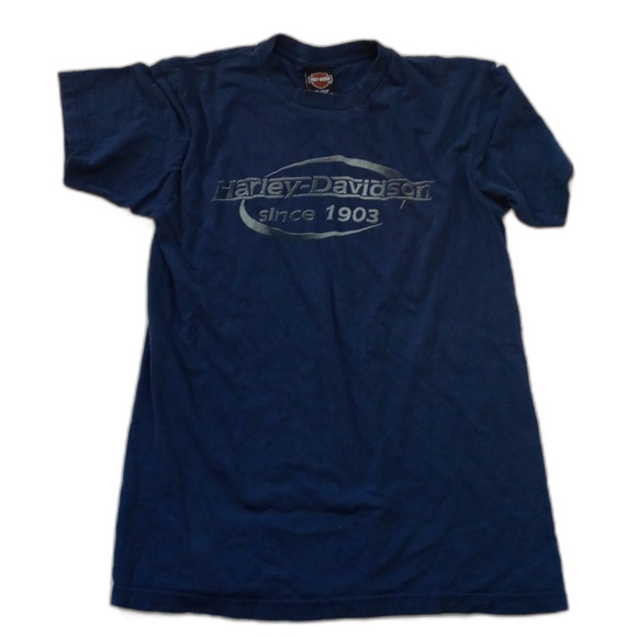 Men's Harley-Davidson Winona Minnesota size large Blue t-shirt - Picture 1 of 4